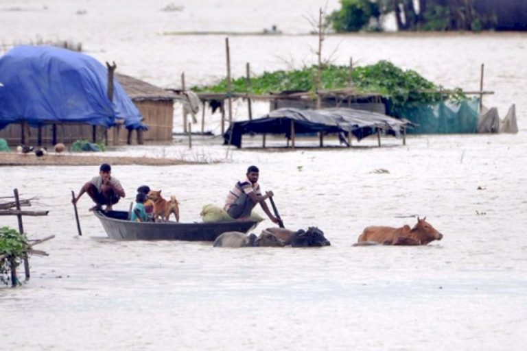 Flood-Situation-Turns-Critical-In-Assam;-More-Than-6-Lakh-People-Reeling-Under-Deluge-Across-19-Districts